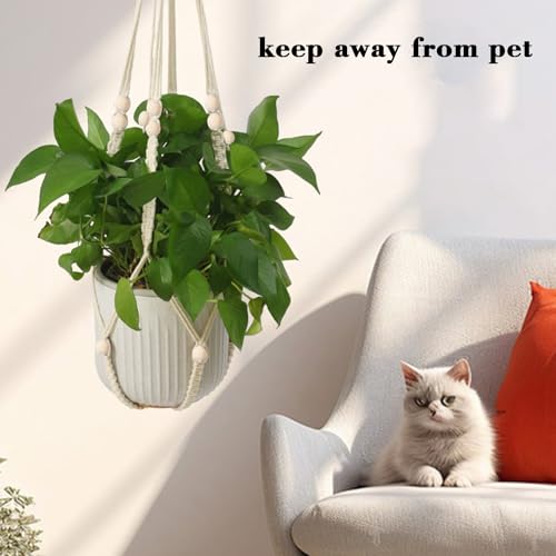 Plant Hanger Indoor Hanging Planter Basket for Indoor Outdoor Boho Home Decor 35 Inch, Ivory, Set of 1 (POTS NOT Included)