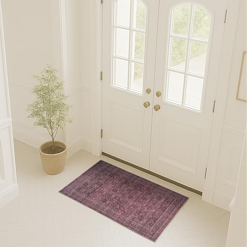 Fame Rugs Turkish Rug. Washable Vintage Oriental Antique Inspired Traditional Doormat Small Modern Area Rugs Luxury Entryway Entry Bedroom Bathroom Kitchen (395RR, 2' x 3') - color: 395rr, size: 2' x 3' (Rectangular)