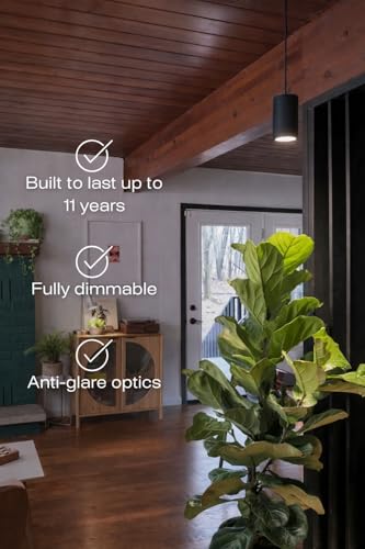 Aspect Soltech Gen 2 – World’s First Decor Grow Light | Black High-Output LED Pendant Grow Light for Indoor Plants | Warm White, Natural Light | Dimmable - color: Black