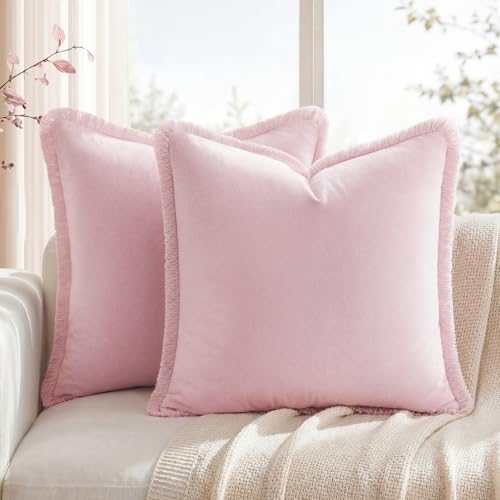 HOMEIDEAS Light Pink Velvet Throw Pillow Covers 20x20 Set of 2, Luxury Decorative Pillow Covers with Short Fringe Tassels, Modern Farmhouse Boho Cushion Covers for Sofa Couch Bed Neutral Home Decor - color: Pink, size: 20" x 20" (Pack of 2)
