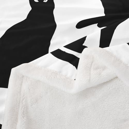Feelyou Cat Throw Blanket Black Cat Soft Fleece Sherpa Cozy Fuzzy Plush Warm Cats Print Fuzzy Plush Throw Cute Kitten Twin 60"x80" Cats Lover's Gift for Bed Couch Living Room - color: Black White, size: Twin