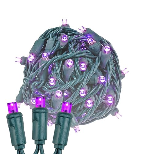 Novelty Lights 25ft 50 LED Purple Christmas Lights Outdoor/Indoor, 6" Spacing, Green Wire String Lights for Festive Xmas Lighting, IP55, UL Listed, Dimmable, Connectable - color: Purple