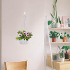 DOITOOL 10 Sets Hanging Planter Basket with Drainage Hole Round Flower Plant Pot Fence Railing Wall Planter for Ferns Ivy Crawling Plants Indoor Outdoor White - color: White