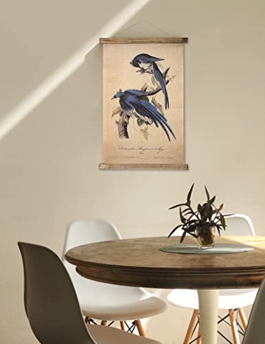 ABoby Vintage Birds Hanging Poster, Retro Style of Wall Art Prints, Printed on Linen with Wood Frames, Ready to Hang - color: Birds