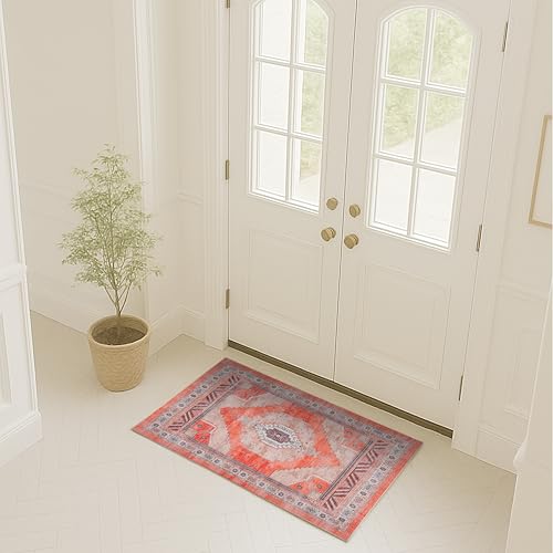 Fame Rugs Turkish Rug. Washable Vintage Oriental Antique Inspired Traditional Doormat Small Modern Area Rugs Luxury Entryway Entry Bedroom Bathroom Kitchen (380TT, 2' x 3') - color: 380tt, size: 2' x 3' (Rectangular)