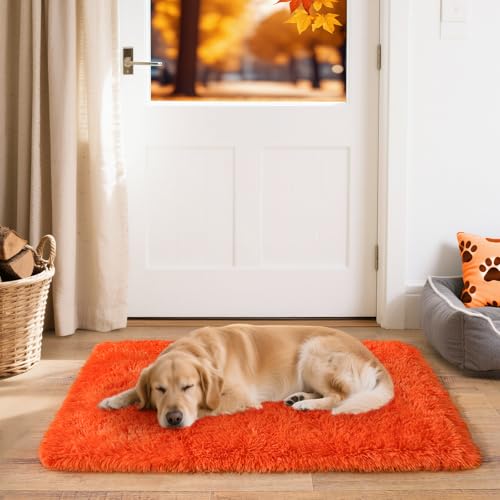 2x3 Small Rugs for Bedroom, Soft Fluffy Shaggy Bedside Area Rugs for Living Room, Indoor Floor Carpet for Kids Girls and Boys, Nursery Rooms, Home Decor Aesthetic, Orange - color: Orange, size: 2' x 3' (Rectangular)