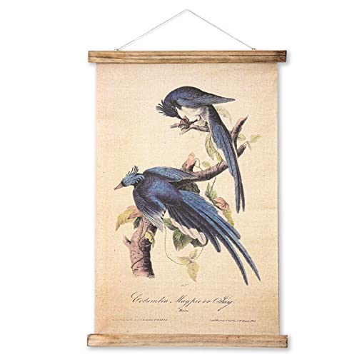 ABoby Vintage Birds Hanging Poster, Retro Style of Wall Art Prints, Printed on Linen with Wood Frames, Ready to Hang - color: Birds