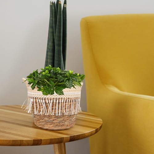 Abaodam Woven Basket Planter for Indoor Plants Small Jute Rope Plant Basket with Tassel Boho Flower Pot Holder Home Decor Storage Container
