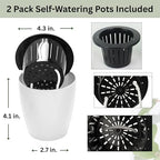4 inch Hanging Planters for Indoor Plants with Self-Watering Pots, Macrame Wall Plant Hanger | Small Macrame Plant Hanger with Pot, Hanging Wall Planter (2 Pack, 4-inch Pots) - size: Small