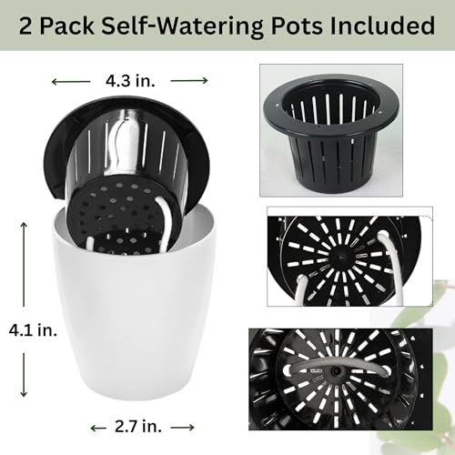 4 inch Hanging Planters for Indoor Plants with Self-Watering Pots, Macrame Wall Plant Hanger | Small Macrame Plant Hanger with Pot, Hanging Wall Planter (2 Pack, 4-inch Pots) - size: Small