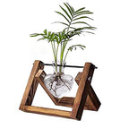 Kingbuy Terrarium with Wooden Stand, Desktop Propagation Station, Air Plant Holder, Metal Swivel Holder for Hydroponics, Home Garden, Wedding Decor - 1 Hearted Vase - size: Heart 1 Bulb