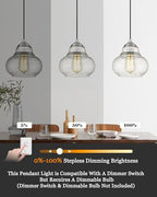 ELYONA 8 Inch Bubble Glass Pendant Light Industrial Kitchen Island Globe Hanging Pendant Light Fxiture Modern Hand Blown Seeded Glass for Farmhouse Dining Room Bar Bedroom Living Room Brushed Nickel - color: Brushed Nickel