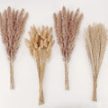 Natural Dried Pampas Grass Decor, Brown Pampas Grass， Bunny Tails Dried Flowers, Reed Grass Bouquet for Wedding Boho Flowers Home Table Decor, Fall Decor，Rustic Farmhouse Party (100 in Total ) - size: 100CPS-Brown
