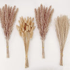 Natural Dried Pampas Grass Decor, Brown Pampas Grass， Bunny Tails Dried Flowers, Reed Grass Bouquet for Wedding Boho Flowers Home Table Decor, Fall Decor，Rustic Farmhouse Party (100 in Total ) - size: 100CPS-Brown