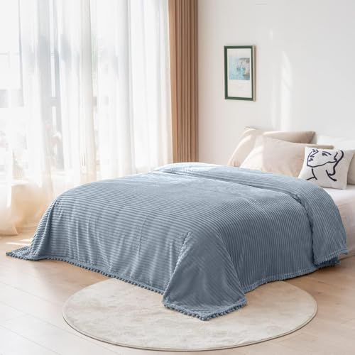 DISSA Fleece Blanket Twin Size – 60x80, Grey – Soft, Plush, Fluffy, Fuzzy, Warm, Cozy – Perfect Throw for Couch, Bed, Sofa - with Pompom Fringe - Flannel Blanket