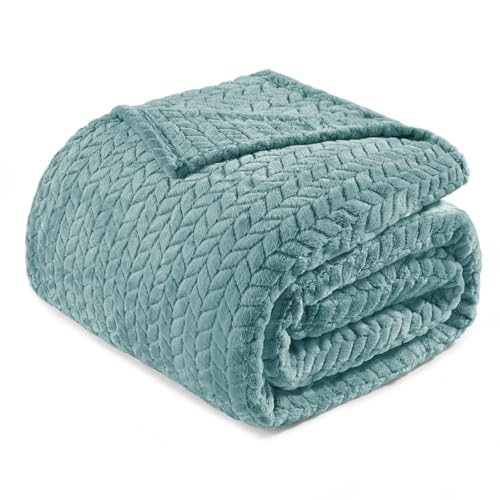 Exclusivo Mezcla Fleece Twin Size Blanket for Bed, 60x80 Inches Soft Cozy Jacquard Flannel Blankets, Lightweight Fuzzy Plush for Women, Celadon - color: Celadon, size: Twin ( 60x80 IN )