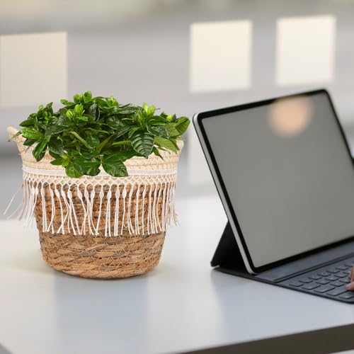 GALPADA Hand-Woven Decorative Plant Basket with Tassel, Small Indoor Woven Flower Planter with Liner, Natural Rope Material Boho Style Plant Holder for Home Garden