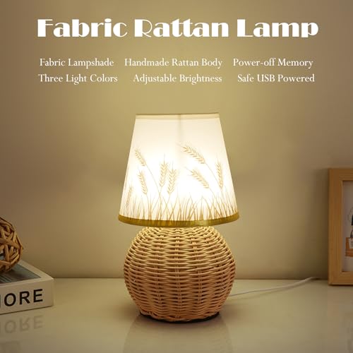 Vintage Small Wicker Lamp, Rattan Body Fabric Lampshade, Adjustable Light Color and Brightness, Power-Off Memory, Safe USB Powered, Boho Style Night Light for Bedroom Living Room (Sphere-Wheat) - color: Sphere-Wheat