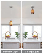 karyfine Mini Pendant Lights Kitchen Island,Blown Art Glass Pendant Light Fixtures with Brush Nickel Finish Coffee Brown Hanging Lamp Shade for Kitchen Over Sink,Hallway,Bathroom Dining Room - color: Coffee Brown-1Pack