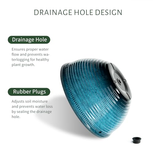 Vanslogreen 2 Pack Hanging Planters for Indoor Outdoor Plants, 10 Inch Hanging Planter with Drainage Hole & Plug Glazed Hanging Baskets Flower Pots for Garden Home (Blue) - color: Blue, size: 10inch