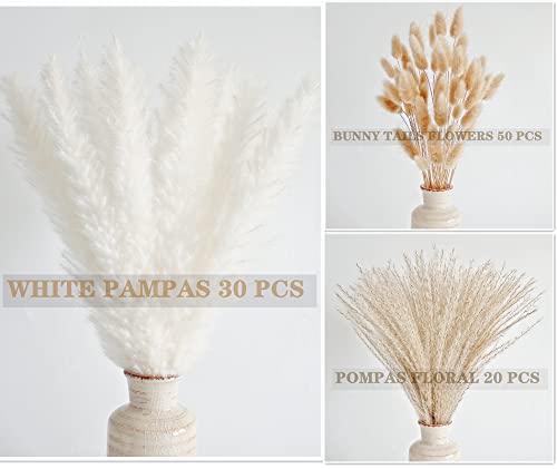 Natural Dried Pampas Grass Decor, White Pampas Grass， Bunny Tails Dried Flowers, Reed Grass Bouquet for Wedding Boho Flowers Home Table Decor, Rustic Farmhouse Party (100 in Total ) - size: 100PCS-White