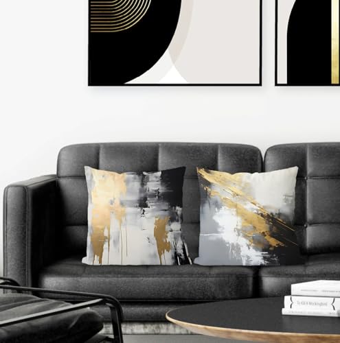Abstract White & Gold Pillow Covers - 16x16 Set of 2, Modern Black & White for Couch, Bed & Living Room - color: Black Grey, size: 16" x 16" (Pack of 1)