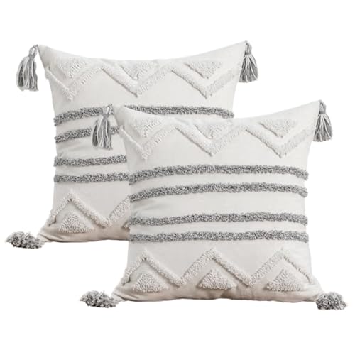 Andreannie Pack of 2 Boho Tufting Throw Pillow Cover Embroidered Textured Geometric Stripes Cushion Cover with Tassels Soft Home Decororative for Couch Sofa 18x18 inch - color: Boho Stripe