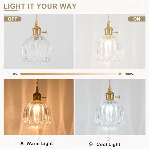 Plug in Pendant Light Fixtures, Hanging Light Fixture Vintage Glass Pendant Light, Mini Transparent Tulip Hanging Lamp, Pendant Lighting for Kitchen Island, Bedroom, Dining Room, Living Room - color: Tulip Transparent