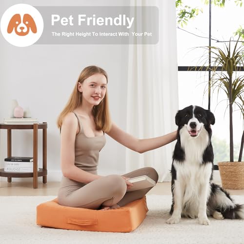 JKMAX 2 Pcs High Density Foam Floor Pillow - Upgraded Large Pillows Seating for Adults - Outdoor Floor Cushion with Soft Tufted Cover - Yoga Pillows for Sitting On Floor - 22 Inch Orange - color: Orange, size: 2 Counts