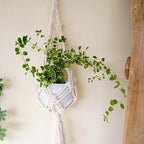 Modern Minimalist Bohemian Style Hanging Planters Plant Net Pocket Hand Woven Hanging Basket Holder Tapestry Flower Basket with Exquisite Tassel Indoor Balcony Decoration (Net) - size: Net