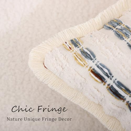 LUOYEHK Chenille Striped Throw Pillow Covers 18x18 Inch Set of 2 Boho Decorative Pillowcases with Fringe Farmhouse Neutral Cushion Covers for Couch Sofa Bed Living Room, Blue Brown - color: Blue Brown, size: 18" x 18" (Pack of 2)