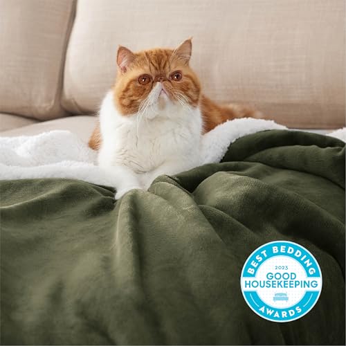 Bedsure GentleSoft Sherpa Fleece Throw Blanket for Couch, Non-Heated, Thick and Warm Throw for Women and Men, Soft Fuzzy Plush Blanket for Winter, Olive Green, 50x60 Inches - color: 04 - Olive Green, size: Throw (50" X 60")