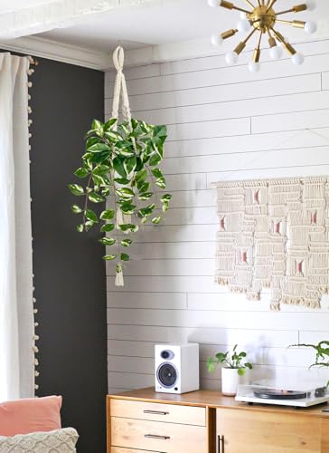 Briful Macrame Hanging Plant with Fake Pothos in White Pot, White N' Joy Faux Hanging Decor for Home Ceiling, Farmhouse Kitchen - color: White Leaf