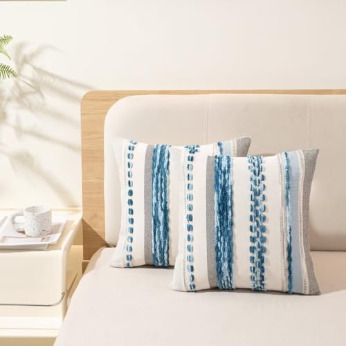 Boho Throw Pillow Covers 18x18 Set of 2 Farmhouse Decorative Cushion Case Striped Square Pillows Cover Chenille Pillow Cases Accent Neutral Pillowcase for Sofa Couch Bed,Sky Blue - color: Sky Blue Stripe