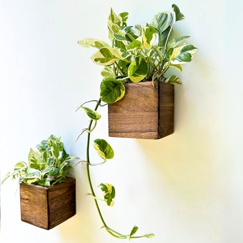 LaLaGreen Wood Planter Box for Plants (4x4 Inch, 2 Pack) Small Square Wall Planters for Indoor Plant, Window Hanging Flower Pot Wooden Boxes for Table Centerpiece Herb Balcony Home Garden Office Decor - size: 4x4" x 2 pack