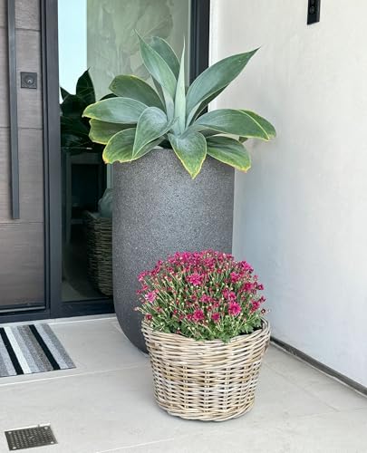 Kouboo Rattan Planter Basket with Plastic Pots Planters Flower Pots Decorative Fall planters for Front Porch Whiskey Barrel Basket Indoor Outdoor Plant Pots Small - size: Small