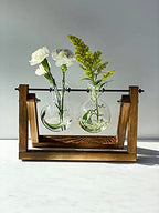 Kingbuy Glass Desktop Planter with Retro Wooden Stand, 2 Bulbs | Plant Terrarium Vase, Indoor Office Desk Decor, Accessories - size: 2 Bulb Vase