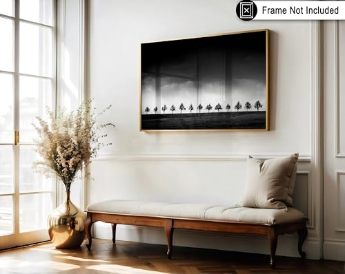 Monem Art Row of Silhouette Trees Print - Brighten Poster - Stormy Sky Art - Black & White Landscape Photography Wall Decor - Office or Bedroom Decor - 8x10 Unframed Wall Art by Adam Dauria - color: Style-11, size: 8"L x 10"W