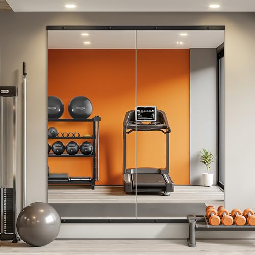 TRAHOME Home Gym Mirror for Wall,56x28x2PCS Full Length,Glass Frameless Body Large Mirror for Home Gym,Workout,Bedroom,Garage(Black) - color: Matte Black, size: 56"L x 28"W x 2PCS