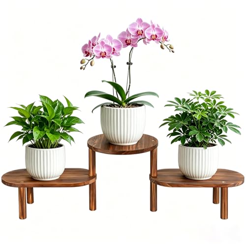 3 Tier Corner Plant Stand Indoor - Adjustable Wood Convex Flower Stand for Small Spaces, Heavy Duty Long Plant Shelf for Living Room Balcony Hallway