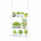 Lifewit 3-Tier Window Plant Shelves 15", Acrylic Adjustable Hanging Floating Shelf, Window Sill Extender for Succulent Plants, Micro Greens, Seed Starter Pots, Herb Planters 38 x 15 cm/15x6 - size: 3-Tier