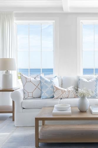 Hofdeco Premium Grandmillennial Coastal Hampton Patio Indoor Outdoor Throw Pillow Cover Only, 20"x20" Water Repellent for Backyard, Couch, Poolside, Baby Blue Embroidered Leaves Frame - color: Baby Blue Leaves Frame 20"x20"