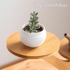 2 Tiered Desk Plant Stand Bamboo Tree Plant Shelf Tabletop Succulent Herb Stand Desktop Plant Stand Indoor Plant Rack for in Living Room Office Decoration (2 Tiered) - size: 2 Tiered