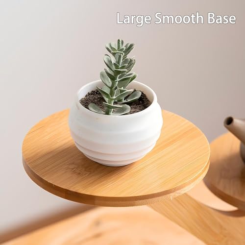 2 Tiered Desk Plant Stand Bamboo Tree Plant Shelf Tabletop Succulent Herb Stand Desktop Plant Stand Indoor Plant Rack for in Living Room Office Decoration (2 Tiered) - size: 2 Tiered