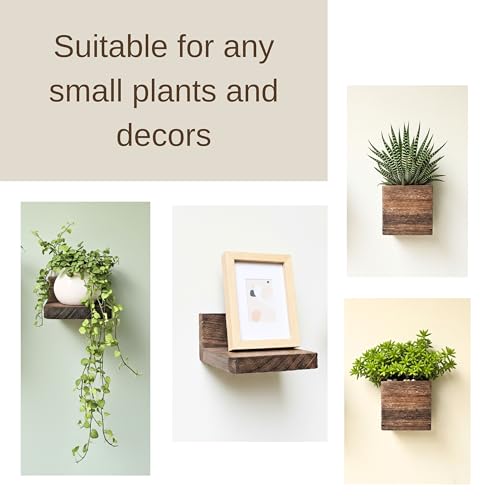 LaLaGreen Wood Planter Box for Indoor Plants (6 Pack) Wooden Wall Hanging Planters for Dried Flowers, Modern Farmhouse Wall Mount Greenery Decor Living Room, Bedroom, Kitchen, Office Home Garden - size: 6-pc Set B