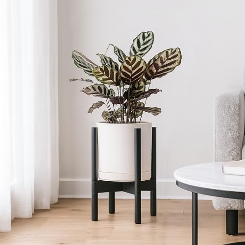 D'vine Dev Ceramic Planter with Ebony Stand - 8 Inch Modern Round Flower Pot with Wood Planter Holder, Oatmeal, 55-B-M-8 - color: Oatmeal Pot + Ebony Stand, size: 8 Inch
