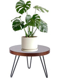 Plant Stand Indoor Outdoor, Wooden plant Stool, Mid Century Plant Stand for Indoor Plants, Wood Modern Plant Holder Rattan Flower, Low Short Boho Rustic Planter Stand Fit 5-15 Inch Pot (Walnut, L) - size: L