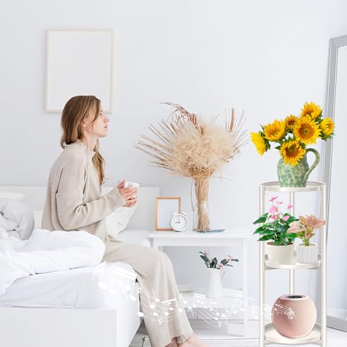 3 Tier Metal Plant Stand Indoor, Corner Tiered Round Plant Stand for Indoor Multiple Plants, Flower Pot Stands Outdoor Holders Plant Shelf Display Rack for Balcony Living Room(Cream White) - color: 3 Tier-Cream white-B