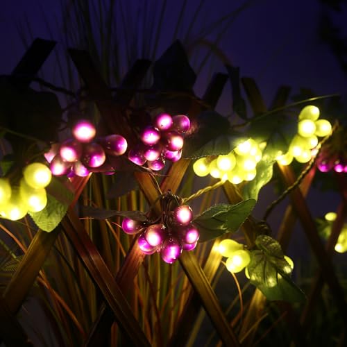 Grape Vine String Lights, 100 LED Grape Lights, Fruit String Lights for Kitchen, Wine Cabinet, Home Decoration, 10 Cluster Purple and Green Grapes Christmas Lights (Green & Purple)