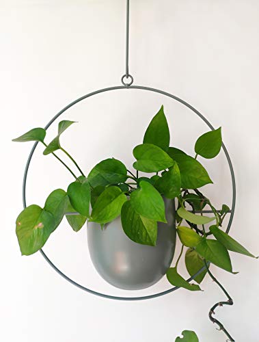 RISEON Boho Green Metal Plant Hanger,Metal Wall and Ceiling Hanging Planter, Modern Planter, Mid Century Flower Pot Plant Holder, Minimalist Planter for Indoor Outdoor Home Decor - color: Green, size: Round shape